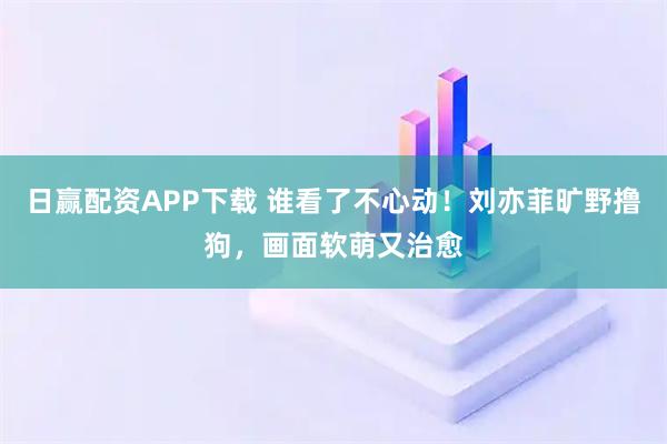 日赢配资APP下载 谁看了不心动！刘亦菲旷野撸狗，画面软萌又治愈