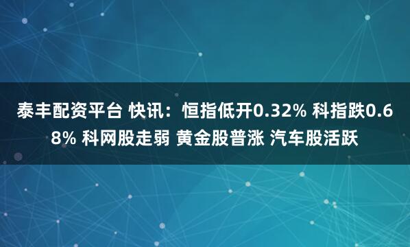 泰丰配资平台 快讯：恒指低开0.32% 科指跌0.68% 科网股走弱 黄金股普涨 汽车股活跃