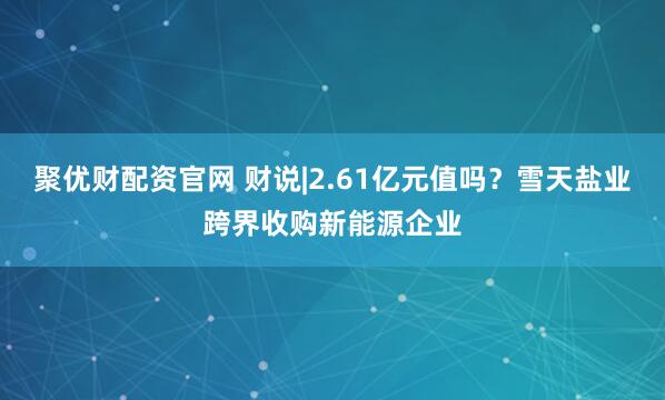 聚优财配资官网 财说|2.61亿元值吗？雪天盐业跨界收购新能源企业