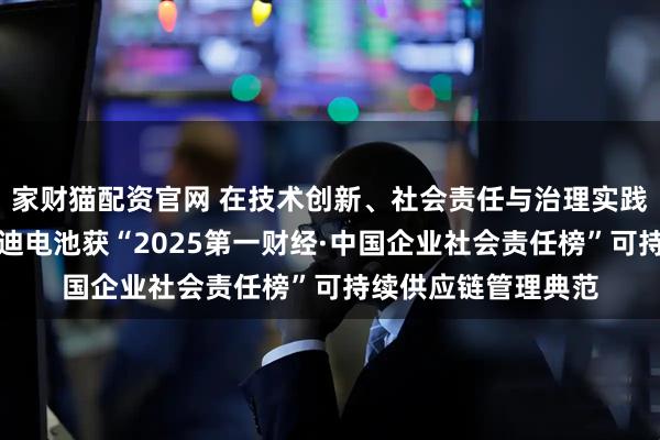 家财猫配资官网 在技术创新、社会责任与治理实践中书写新篇章，弗迪电池获“2025第一财经·中国企业社会责任榜”可持续供应链管理典范