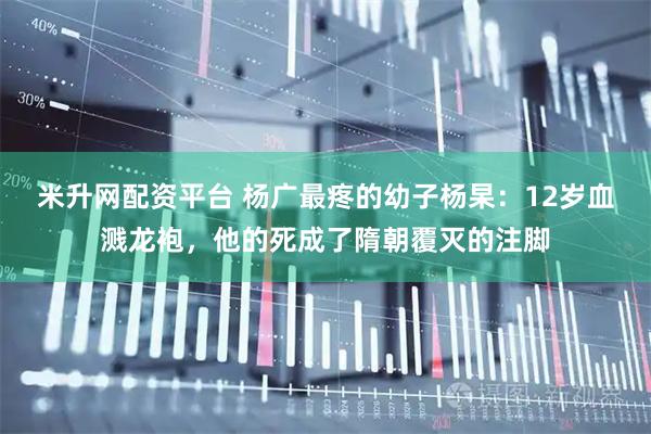 米升网配资平台 杨广最疼的幼子杨杲:12岁血溅龙袍,他的死成了隋朝覆灭的注脚