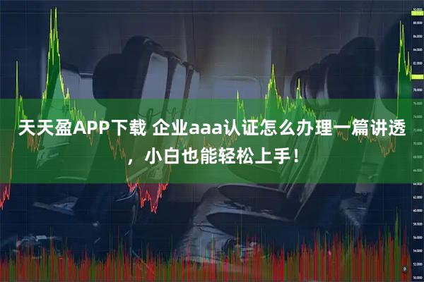 天天盈APP下载 企业aaa认证怎么办理一篇讲透，小白也能轻松上手！
