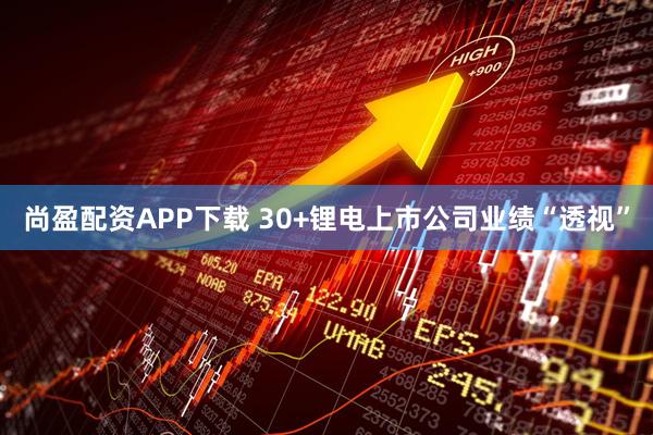 尚盈配资APP下载 30+锂电上市公司业绩“透视”